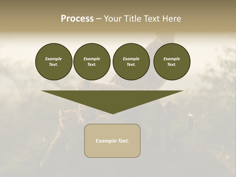 Eco Tourism Relax PowerPoint Template