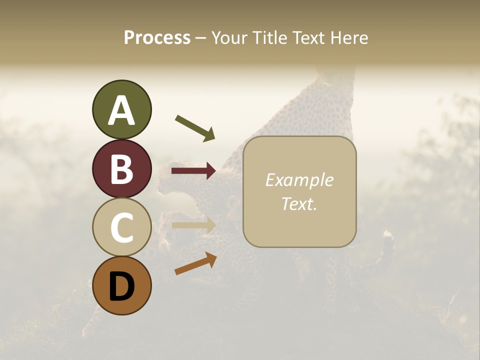 Eco Tourism Relax PowerPoint Template