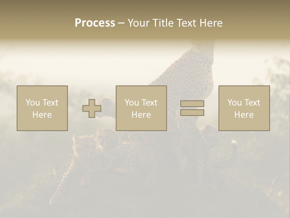 Eco Tourism Relax PowerPoint Template