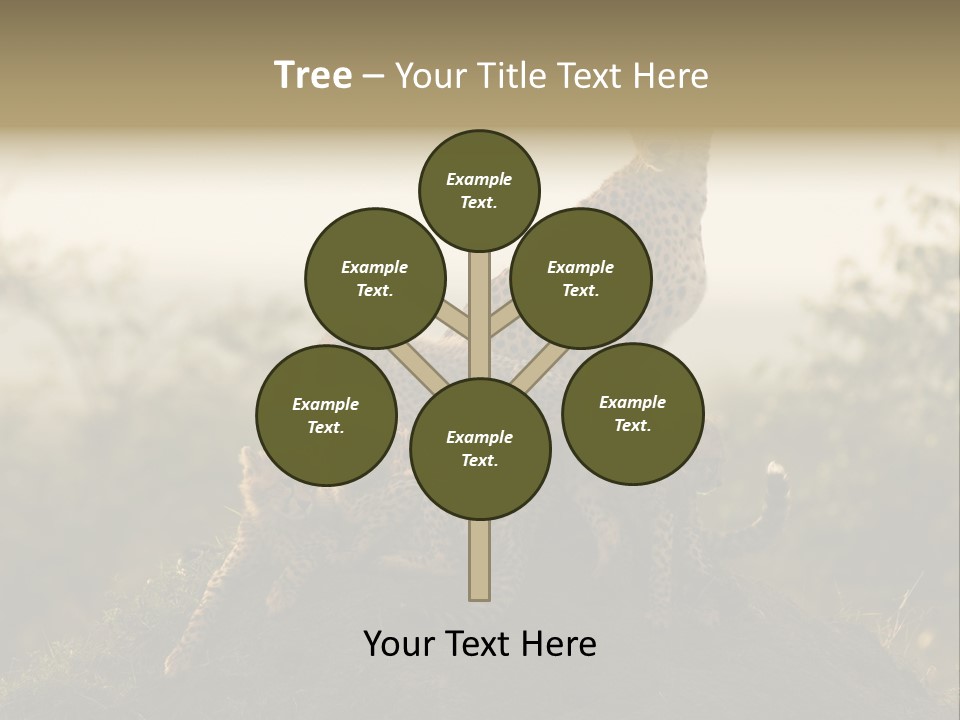 Eco Tourism Relax PowerPoint Template