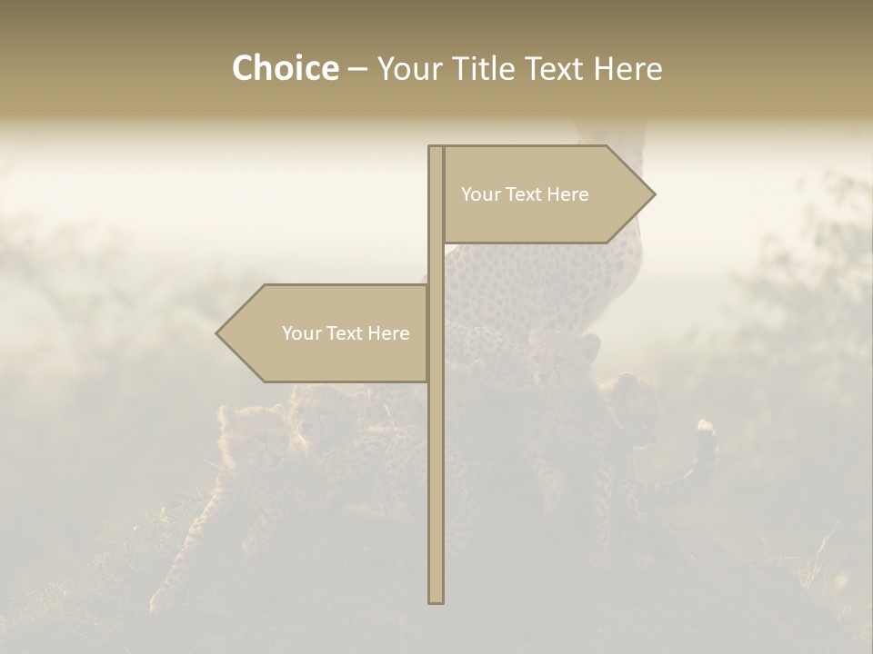 Eco Tourism Relax PowerPoint Template