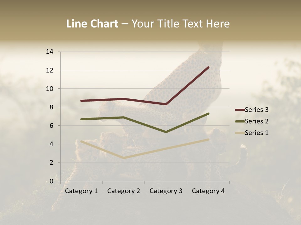 Eco Tourism Relax PowerPoint Template