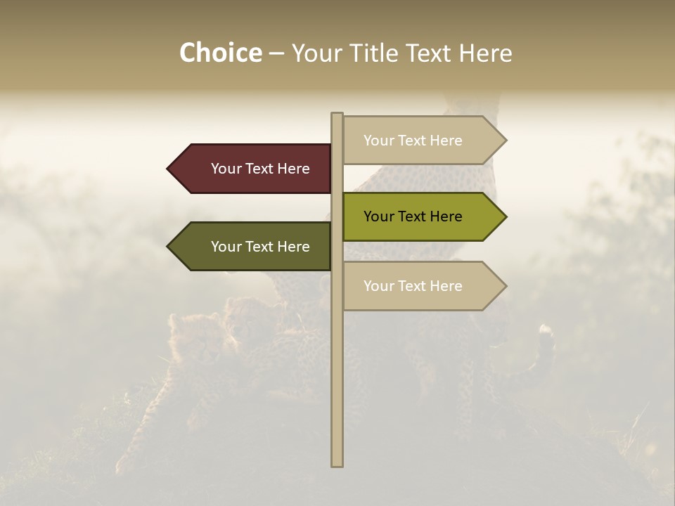 Eco Tourism Relax PowerPoint Template