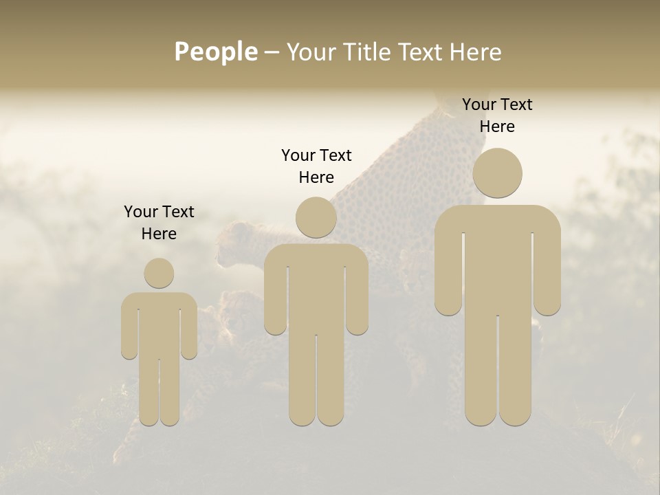 Eco Tourism Relax PowerPoint Template