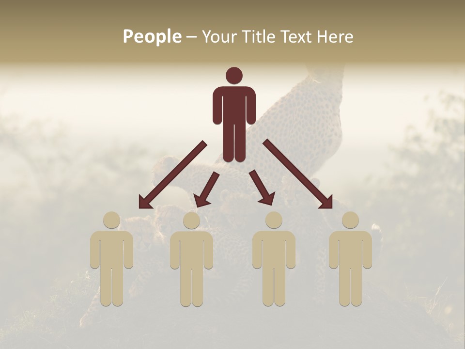 Eco Tourism Relax PowerPoint Template