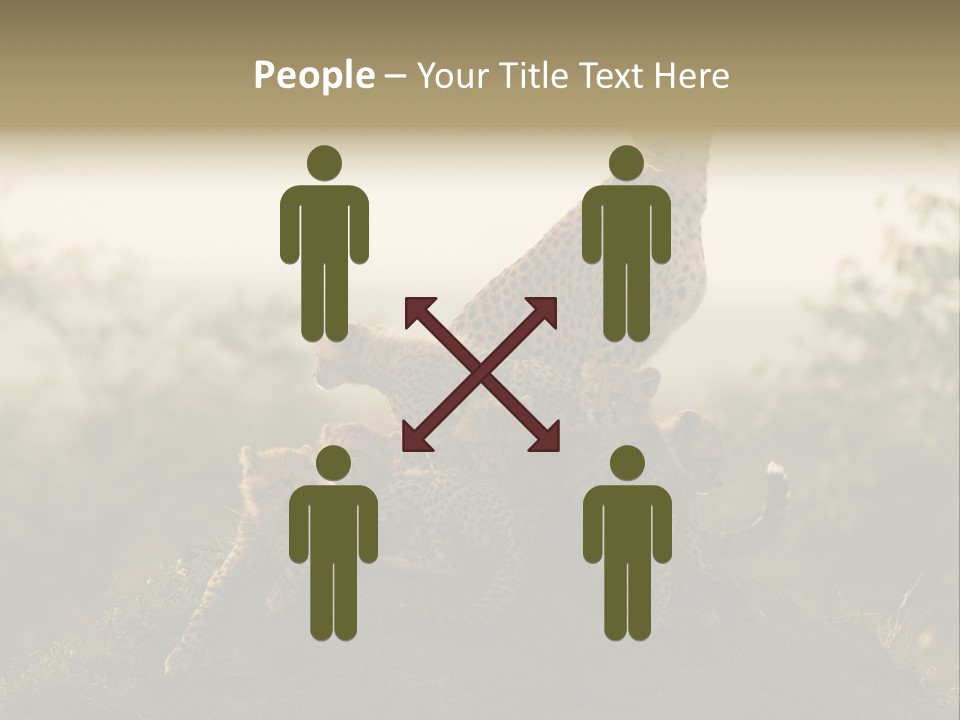 Eco Tourism Relax PowerPoint Template