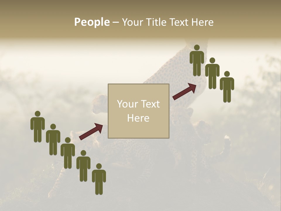 Eco Tourism Relax PowerPoint Template