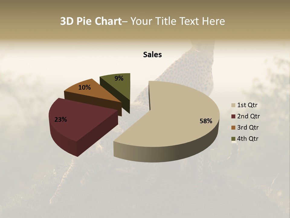 Eco Tourism Relax PowerPoint Template