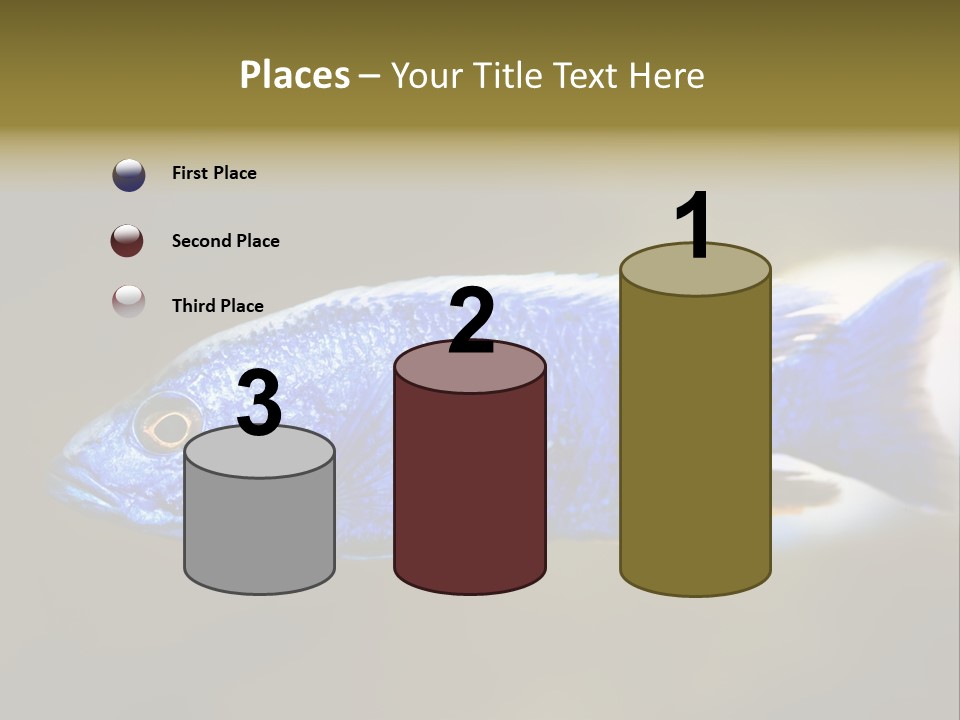 Nature Pet Color PowerPoint Template