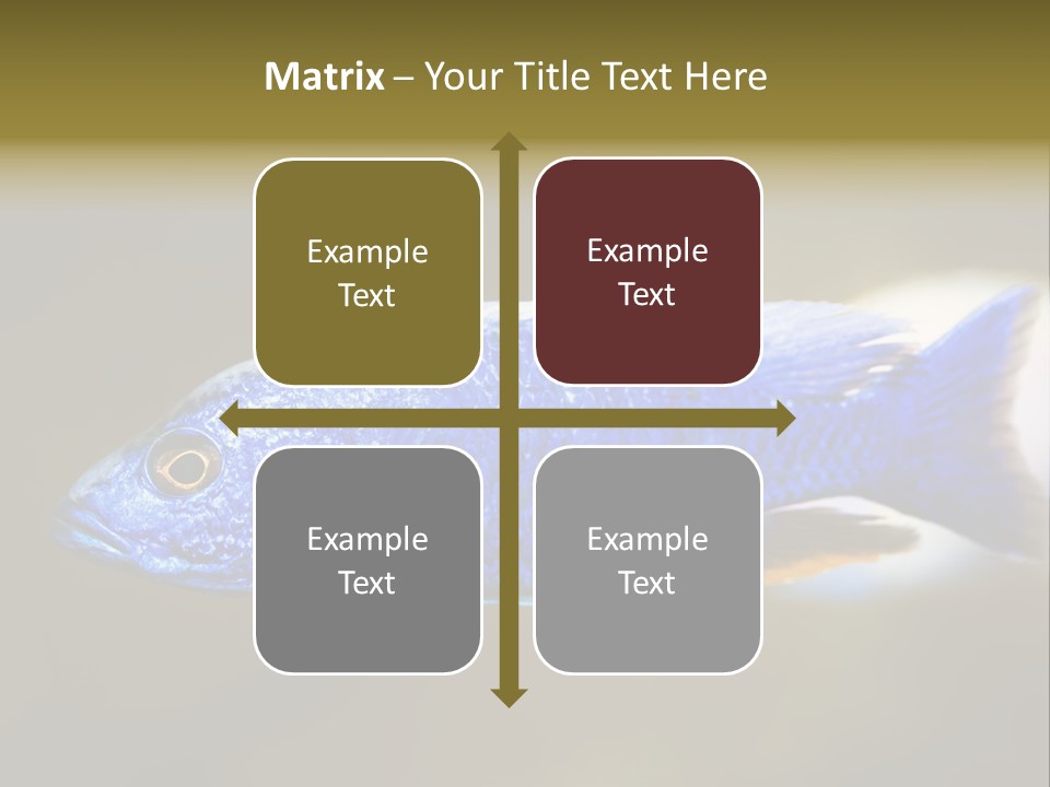 Nature Pet Color PowerPoint Template