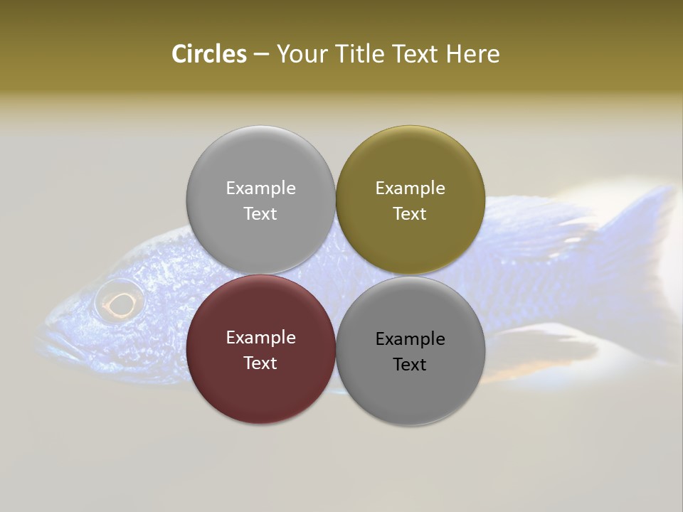 Nature Pet Color PowerPoint Template