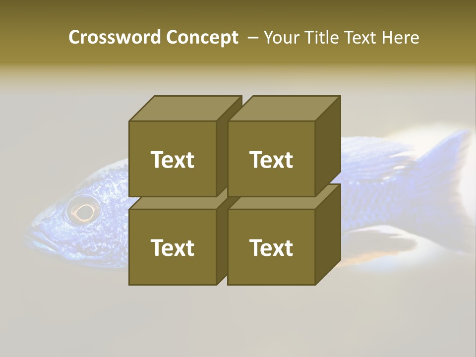 Nature Pet Color PowerPoint Template
