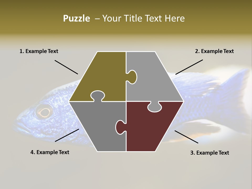 Nature Pet Color PowerPoint Template