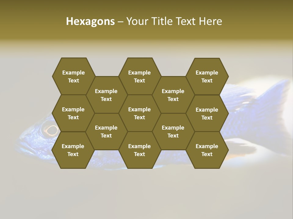 Nature Pet Color PowerPoint Template