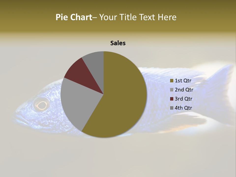 Nature Pet Color PowerPoint Template