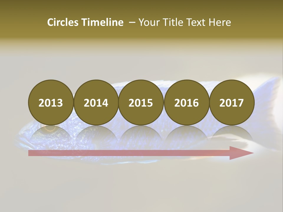 Nature Pet Color PowerPoint Template