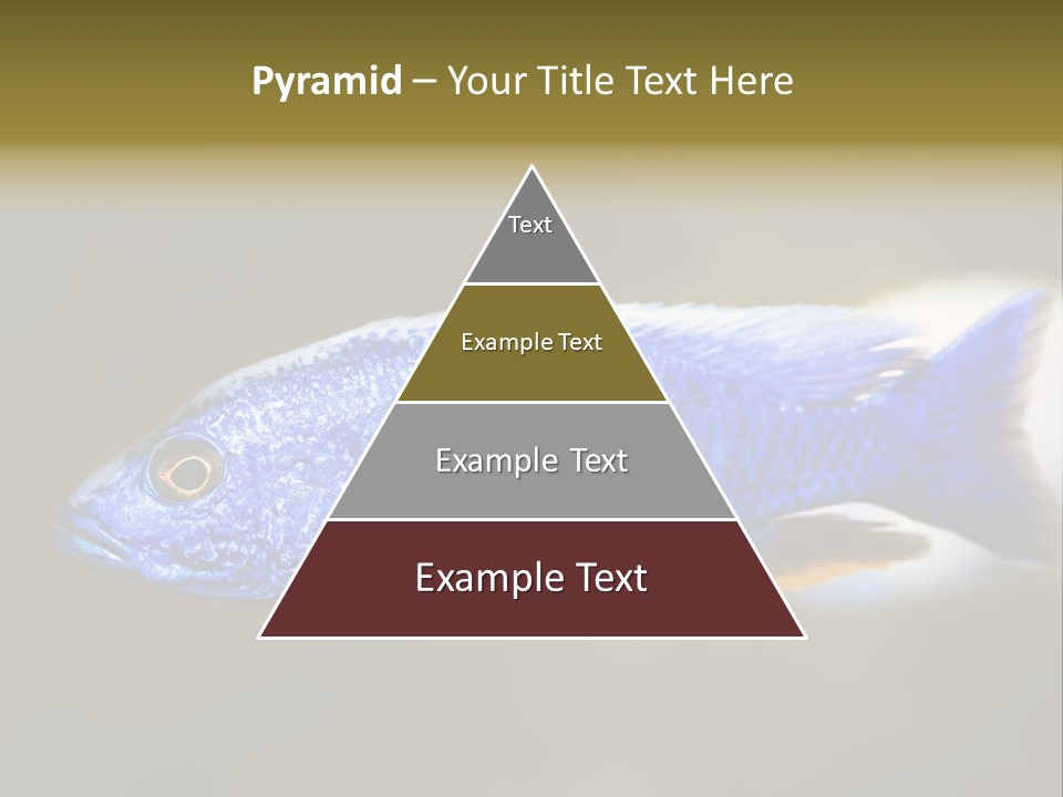 Nature Pet Color PowerPoint Template