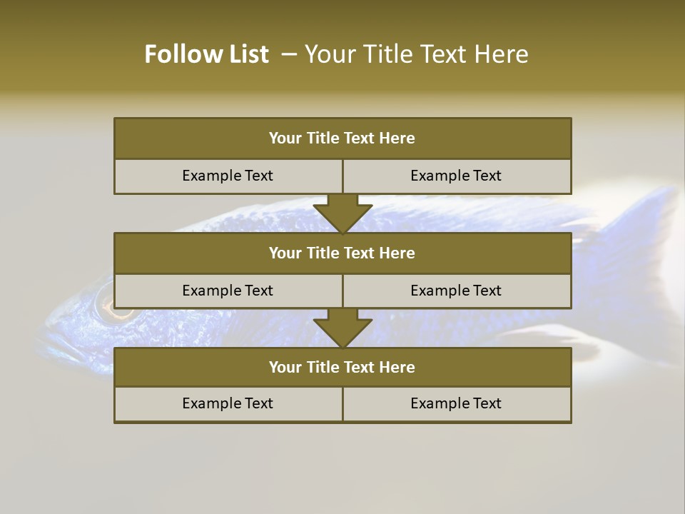 Nature Pet Color PowerPoint Template