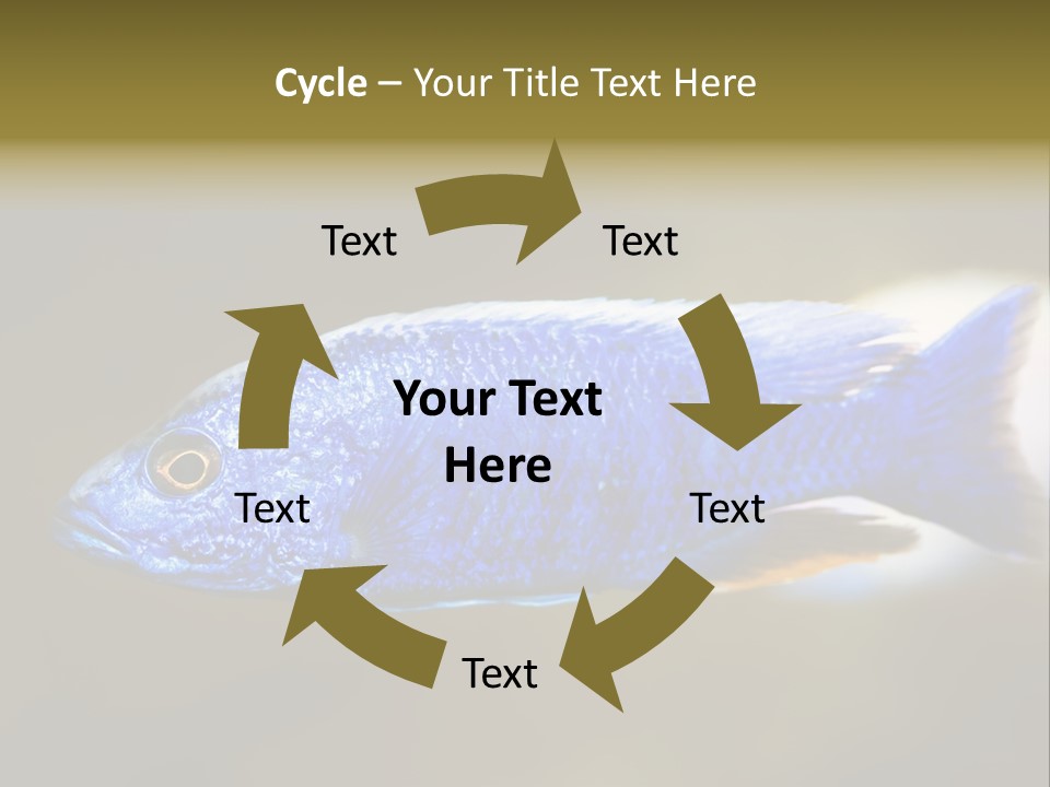 Nature Pet Color PowerPoint Template