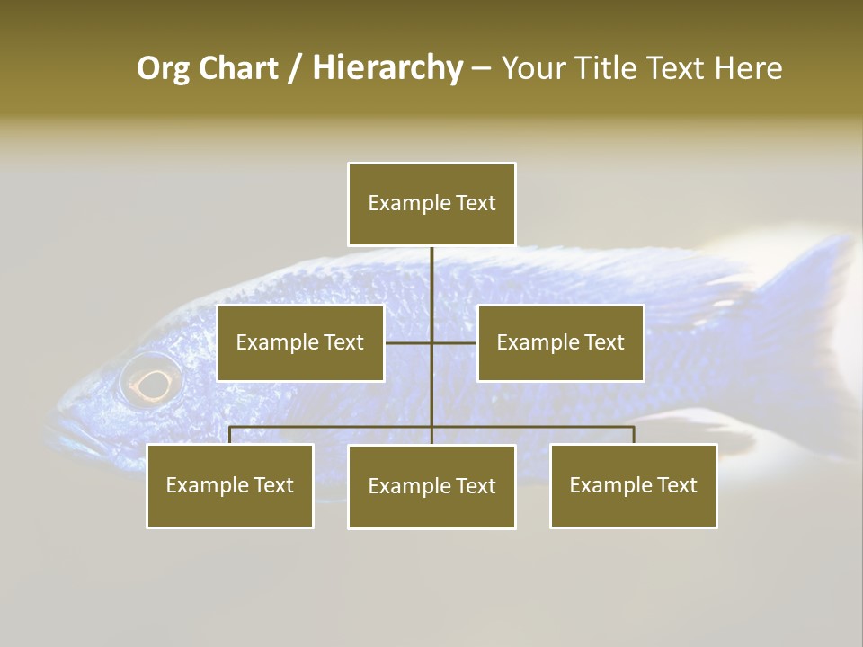 Nature Pet Color PowerPoint Template