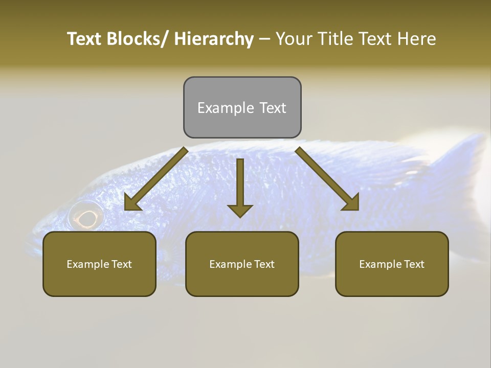 Nature Pet Color PowerPoint Template