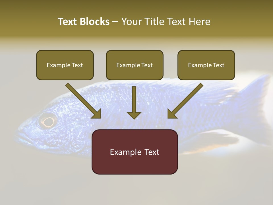 Nature Pet Color PowerPoint Template