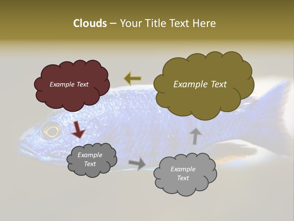Nature Pet Color PowerPoint Template