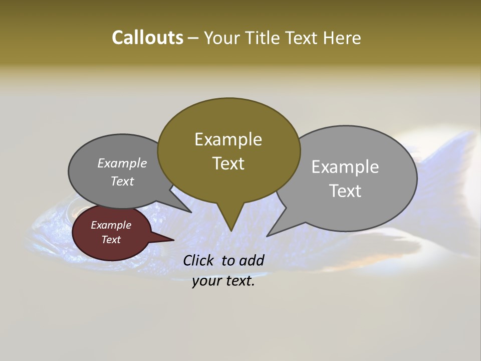 Nature Pet Color PowerPoint Template