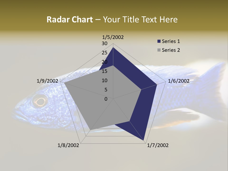 Nature Pet Color PowerPoint Template