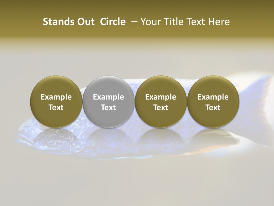 Nature Pet Color PowerPoint Template