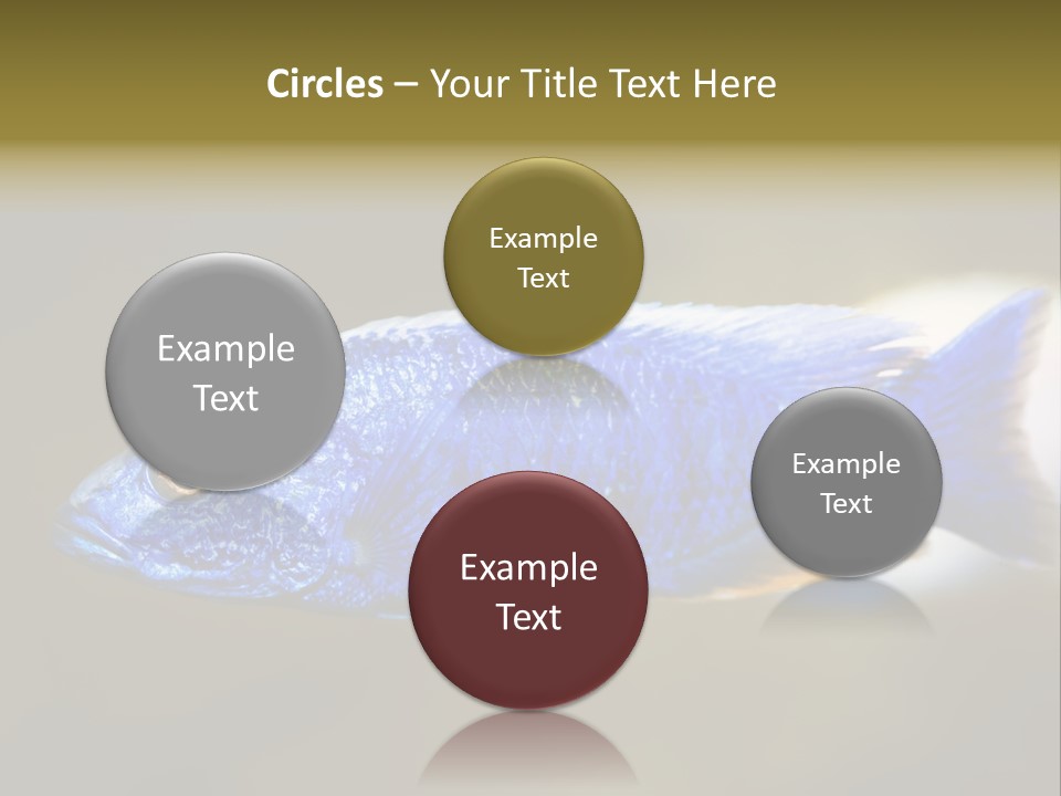 Nature Pet Color PowerPoint Template