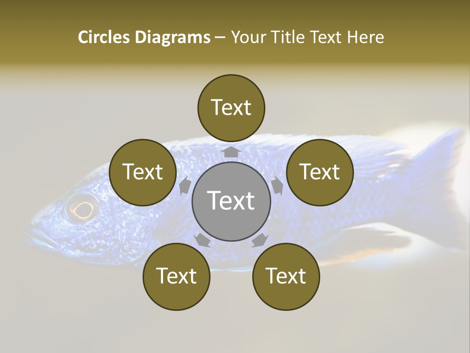 Nature Pet Color PowerPoint Template