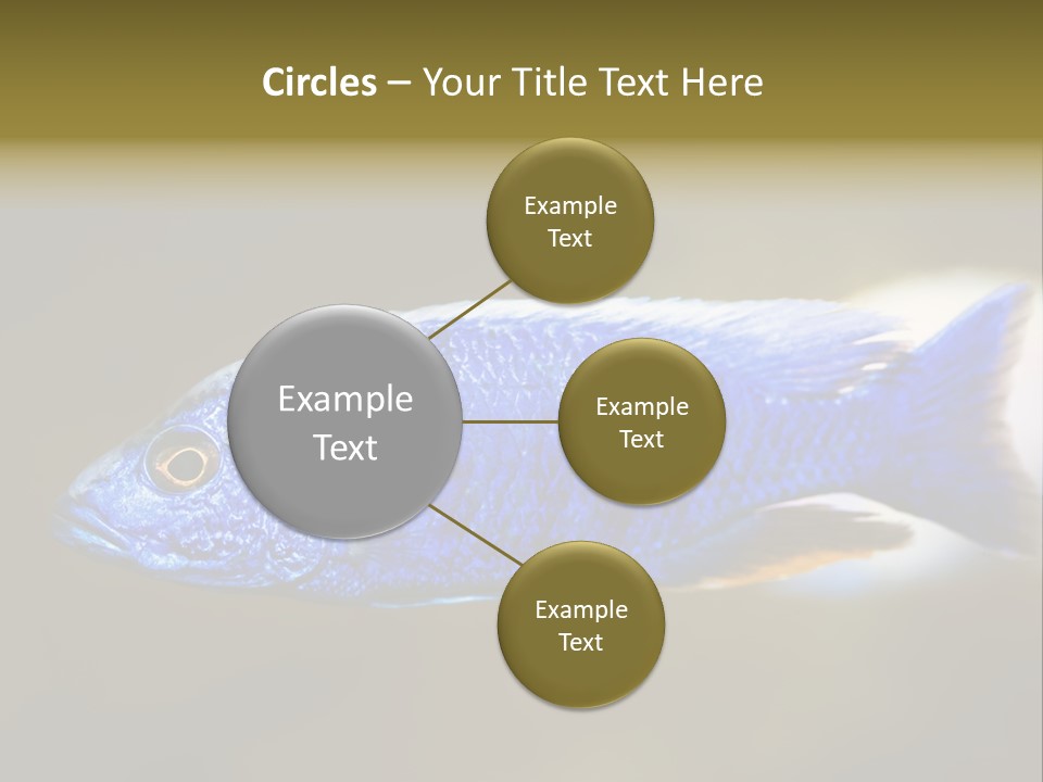 Nature Pet Color PowerPoint Template