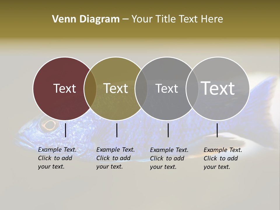 Nature Pet Color PowerPoint Template