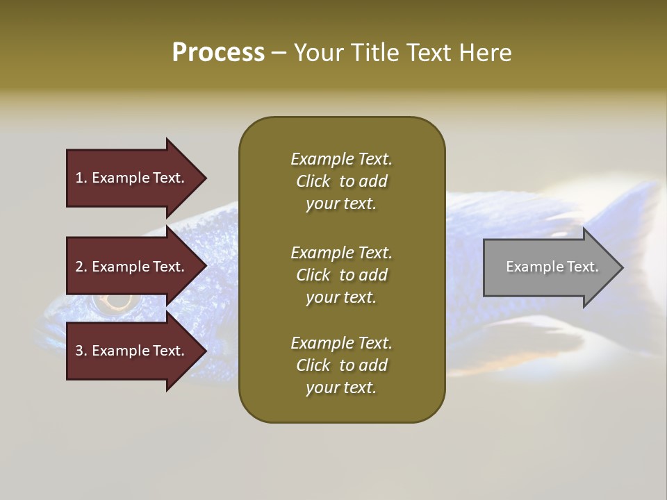Nature Pet Color PowerPoint Template