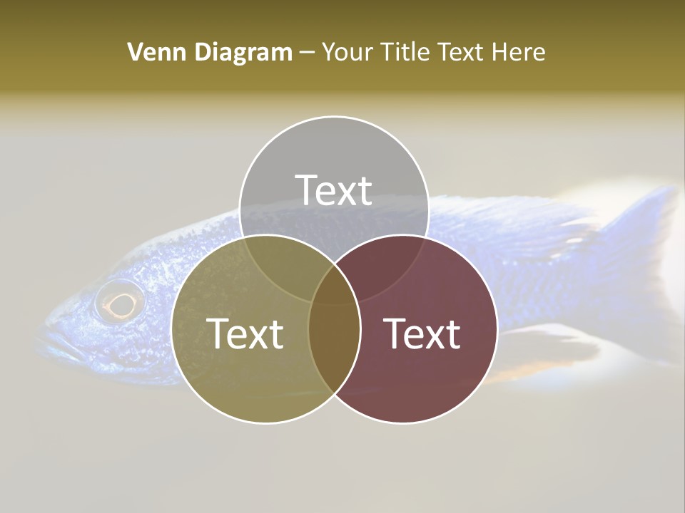 Nature Pet Color PowerPoint Template