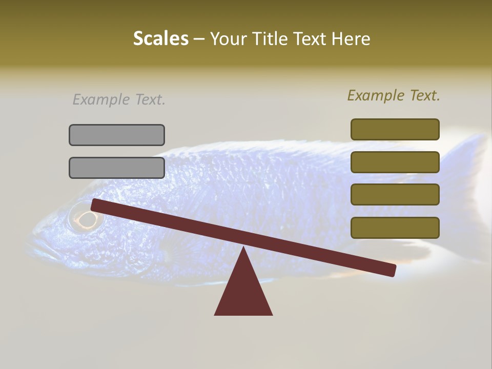 Nature Pet Color PowerPoint Template