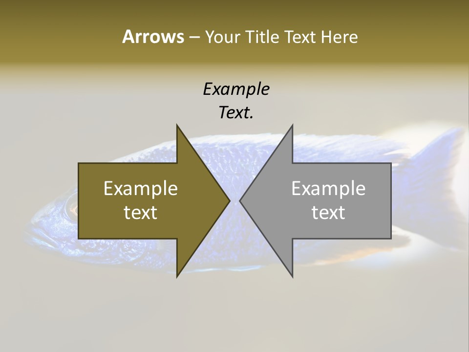 Nature Pet Color PowerPoint Template