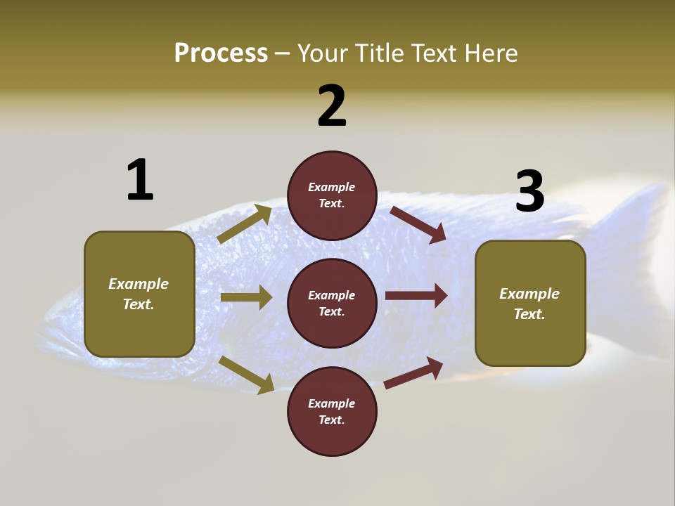 Nature Pet Color PowerPoint Template