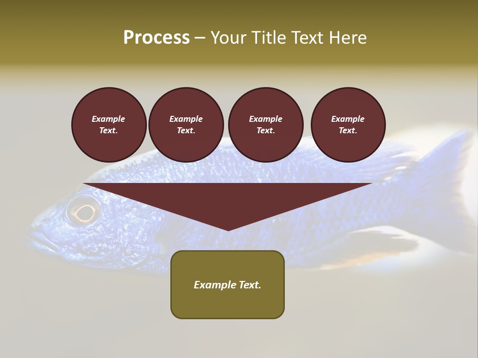 Nature Pet Color PowerPoint Template