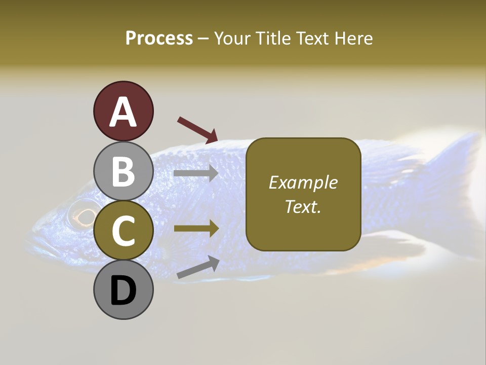 Nature Pet Color PowerPoint Template