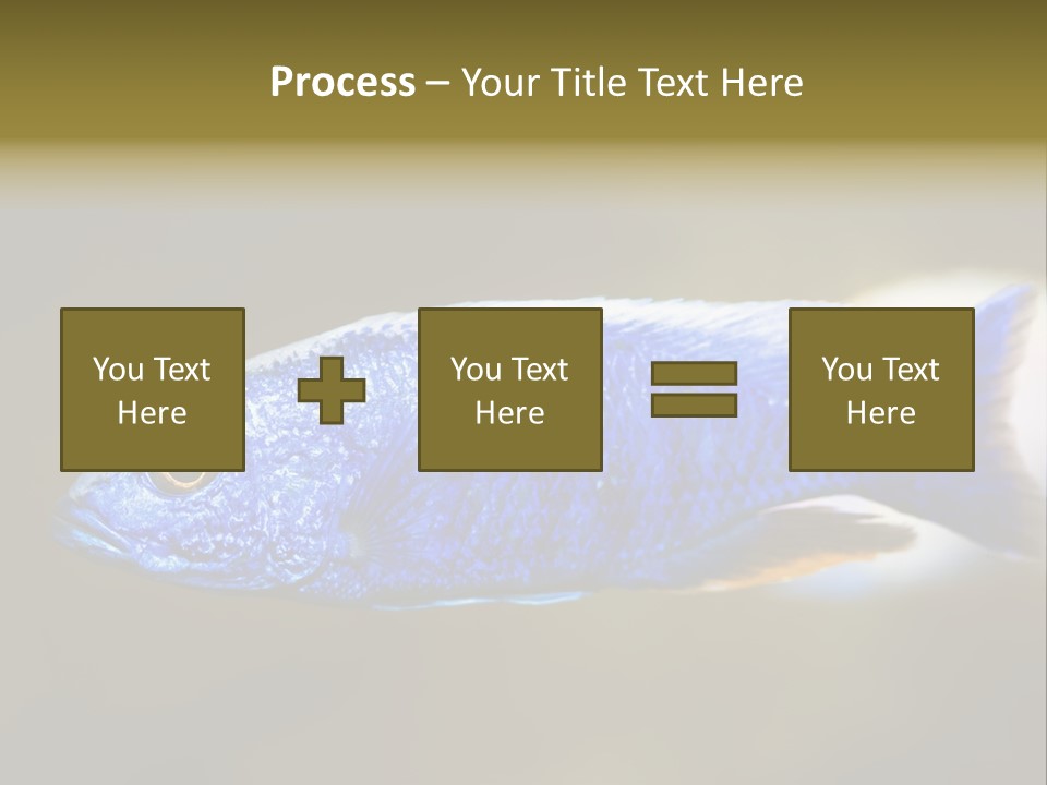 Nature Pet Color PowerPoint Template