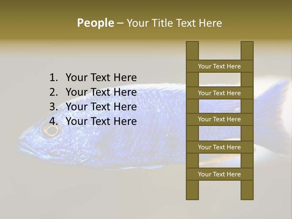 Nature Pet Color PowerPoint Template