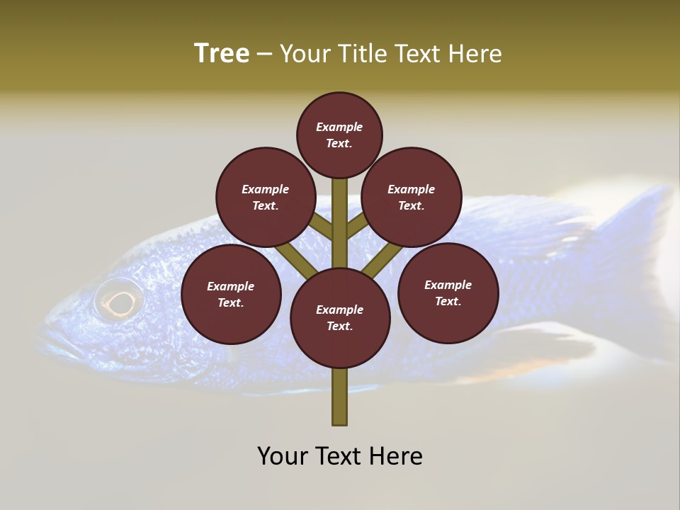 Nature Pet Color PowerPoint Template