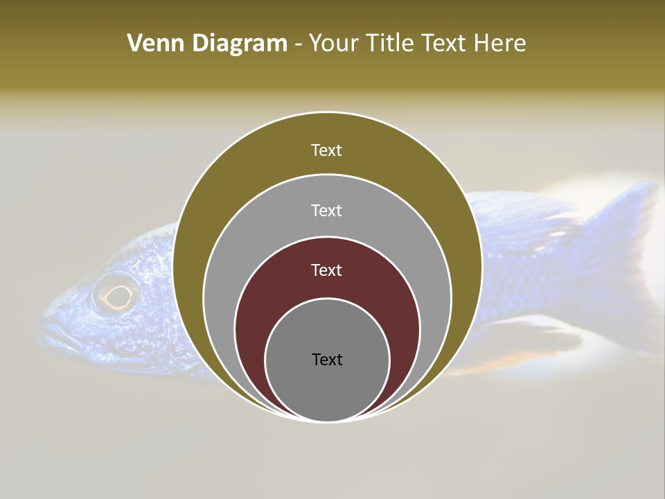 Nature Pet Color PowerPoint Template