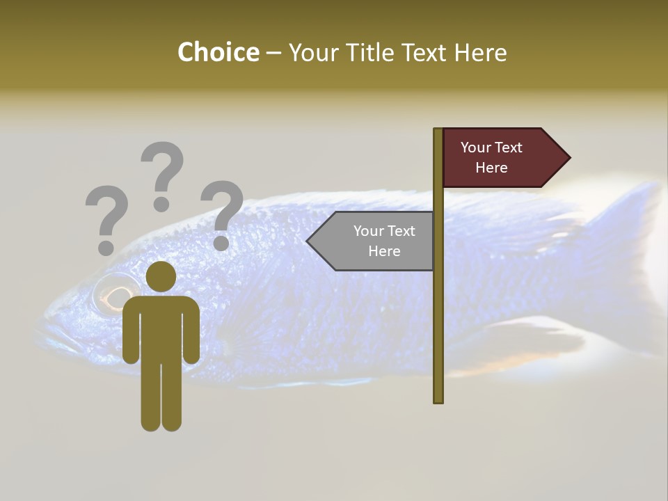 Nature Pet Color PowerPoint Template