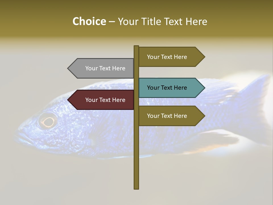 Nature Pet Color PowerPoint Template
