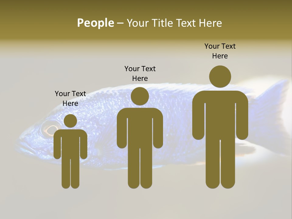 Nature Pet Color PowerPoint Template