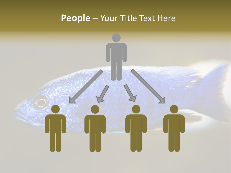 Nature Pet Color PowerPoint Template