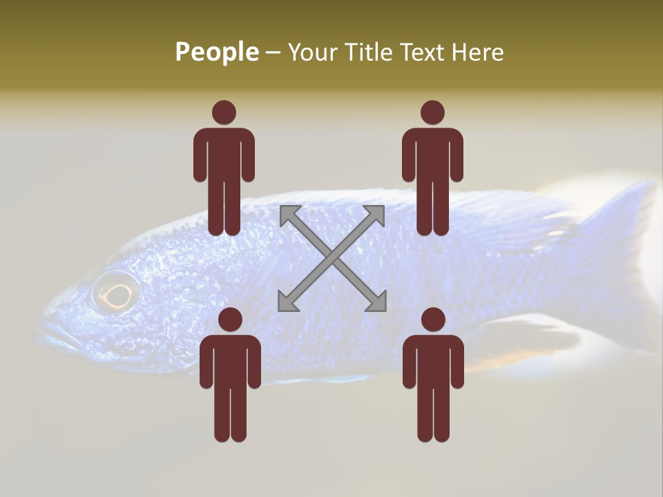 Nature Pet Color PowerPoint Template